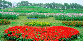 The Phoenix Garden-  khu đô thị đáng sống nhất phía Tây Hà Nội!