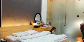 Kinh Doanh Ở Đều Tuyệt HXH 6M Lý Thái Tổ Q.10/50m2/7.3 Tỷ