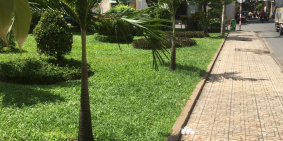 Bán nhà MTKD đường Tân Hải ,P13, Q Tân Bình