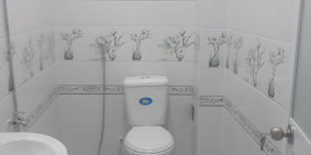 Bán nhà đường Hương Lộ 11 - Bình Chánh 100m2 SHR giá 950 triệu 3PN