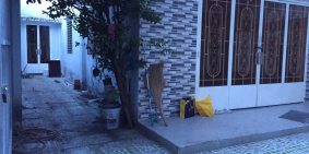 bán nhà cấp 4 112m2 4ty150 đường 16 phường linh chiểu quận thủ đức