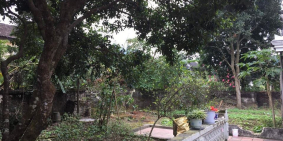 NHÀ + ĐẤT CHÍNH CHỦ FULL NỘI THẤT GIÁ TỐT BAO PHÍ