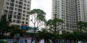 Chính chủ cho thuê căn hộ chung cư An Bình City 2 ngủ, đủ đồ, 8tr/th.