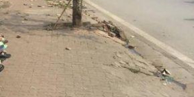 cho thuê nhà ở quận đống đa hà nội