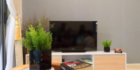 Hot, cho thuê căn hộ cao cấp Botanica Premier 2 PN, full NT, view Cực đẹp, giá cực rẻ