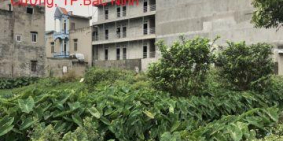 Bán 2 lô đất, 1 lô góc, 1 lô thường tại Đa Cấu, TP.Bắc Ninh