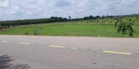 Bán đất mặt tiền TL 786, Long Vĩnh, Châu Thành, Tây Ninh.
