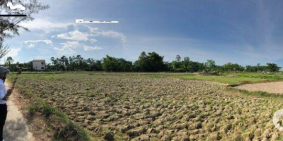 Đất dự án kdc Thanh Quýt 2 - vị trí đẹp - chỉ 8tr/m2 - pháp lý rõ ràng