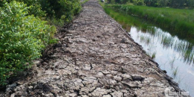 Bán đất thổ vườn huyện đức hòa, 1470m2 xã Hòa Khánh Nam giá 1 tỷ 300 triệu.