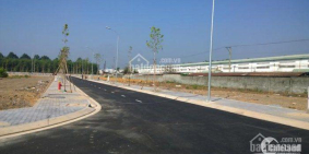 KHU PHỐ XANH TRONG LÒNG THỊ TRẤN CỦ CHI