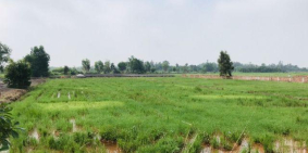 Cần bán lô đất nông nghiệp xã Trung An, DT:7300 m2, Giá: 27.7 tỷ (bớt lộc).Lh 0983733779 - 0856518555 Tiên