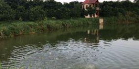 Tìm đối tác KD hoặc chuyển nhượng trang trại tại Lương Sơn, Hòa Bình