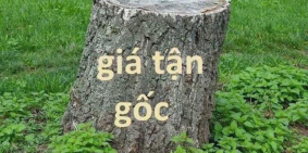 Sổ đỏ đã có mang tên chủ đầu tư thanh toán 95% sang tên nhận ngay sổ đỏ vĩnh viễn.