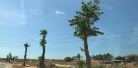 Đặt chỗ đất nền sát Trung tâm TP Quảng Ngãi - giá từ 10tr/m2 - 0908 96 53 53