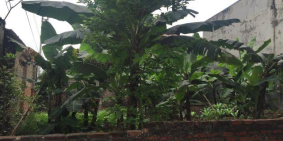 Bán đất cách QL3 chỉ 30m phù hợp với gia đình có thu nhập trung bình 0962937097