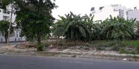 Sổ Hồng Riêng 236m2 đất thổ cư ngang 14.2 m đất CHÚ TƯ, MẶT TIỀN đường Hoàng Hữu Nam 0789.695.347