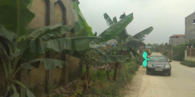 Bán đất Xóm Đình xã Tân Minh Sóc Sơn-Hà Nội:88m2,105m2,219m2:0866093281