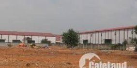 Chú ý mở booking dự án KDC Lê Phong An Phú 2,Thuận An,BD