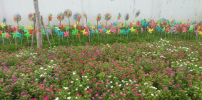 Vị trí vàng để đầu tư và an cư lạc nghiệp tại dự án Lộc Phát ngay trung tâm tx Thuận An