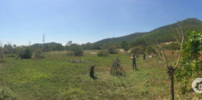 Bán đất chính chủ  mặt đường 10.000m2, đặc khu kinh tế Vân Phong.