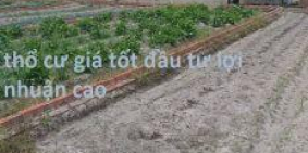 cơ hội cho công nhân muốn mua đất xây nhà giá rẻ