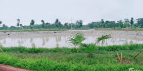 ĐẤT NỀN KHU CÔNG NGHIỆP ĐỒNG VĂN HÀ NAM SINH LỜI CAO lh:0789.998.369