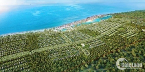 CƠ HỘI KHÔNG THỂ TỐT HƠN CHO CÁC NHÀ ĐẦU TƯ BĐS BIỂN