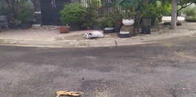 Bán đất thổ cư TT TP Biên Hòa mặt tiền DT768 gần chợ Thạnh Phú giá rẻ