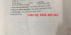 Cần bán đất trục chính đường Phan Xá,Đông Anh,Hà Nội.Vị trí đẹp kinh doanh được