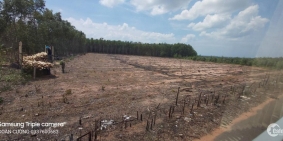 dự án ve biển Cù Mi 165ha, siêu dự án giá rẻ ven biển và cực kì tiềm năng