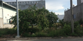 CHÍNH CHỦ CẦN BÁN GẤP HAI LÔ MT TL 10 CÁCH BẾN XE MIỀN TÂY 10 PHÚT. DT 250m2,SR