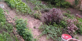 Chính chủ bán đất Củ Chi 88.4 m2, full thổ cư, sổ hồng riêng, giá 1.25 tỷ