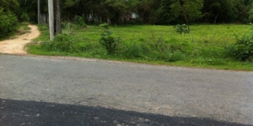 Cần Tiền Bán Lô Đất 200m2-Giá 850tr-SHR