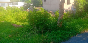 cần bán nhanh miếng đất ở đường tỉnh lộ 8 ,thị trấn Củ Chi .SHR.