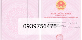 Đất gần Bênh viện Xuyên Á-Chùa hoằng Pháp 126m2 sổ hồng thổ cư 100% giá 1,2tỷ