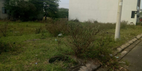 Cần bán đất Ấp Tam Đông-Hóc Môn  5x19m Giá 930tr Sổ Riêng