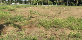 ĐẤT NỀN SIÊU RẺ 550TR/NỀN MỸ THO 100M2 THỔ CƯ 100%,CHẠY THÂN BÁN GẤP GIÁ RẺ