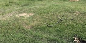 cần bán nền phú đông một sẹc hùng vương đường oto giá đầu tư