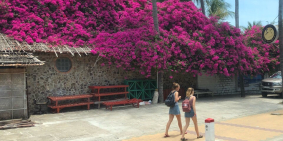 Bán đất thổ cư tầm tài chính dưới 10 tỷ khu vực Hàm Tiến,Múi Né giá rẻ