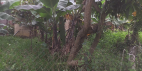 Bán đất ở thôn Lại Thế - 100% xây dựng tự do - nơi an cư