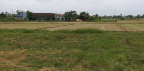 Bán đất 160m2, KQH Dương nổ cồn, xã Phú Dương, Huyện Phú Vang, gần chợ Nọ.