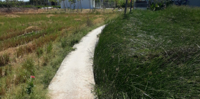 Cần bán gấp lô đất 1553m2 thuộc ấp 5, xã Phước Vân, huyện Cần Đước, SHR