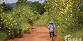 Đất nền giá rẽ Định An , Dầu Tiếng , Bình Dương .