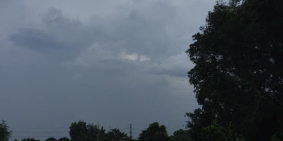 Chú Tư cần bán vườn trái cây đang cho quả mặt tiền Sông Lu xã Trung An Củ Chi