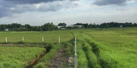 Đất vườn đường Sông Lu giá chỉ 650ngàn/m2 xã Trung An Củ Chi