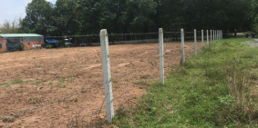 Bán gấp 500m2 đất vườn, Củ chi, quốc lộ 22 , giá 950 triệu, shr.