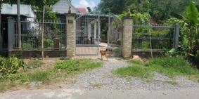 Bán gấp 500m2 đất vườn Củ chi, quốc lộ 22, giá 950tr, shr.