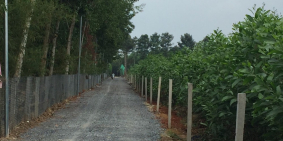 Bán đất Bàu Cạn, đón đầu thành phố sân bay Long Thành chỉ 800 triệu/sào.