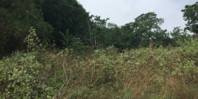 Chính chủ bán 4 lô đất gần sân bay Long Thành, chợ, trường, KDC đông, 500m2 chỉ