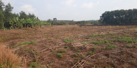 Bán đất Bàu Cạn, đón đầu thành phố sân bay Long Thành chỉ 800 triệu/sào, SHR,